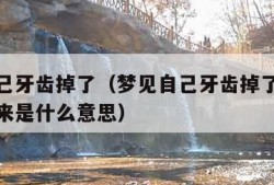 梦见自己牙齿掉了（梦见自己牙齿掉了好多颗并吐出来是什么意思）