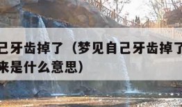 梦见自己牙齿掉了（梦见自己牙齿掉了好多颗并吐出来是什么意思）