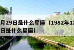 12月29日是什么星座（1982年12月29日是什么星座）