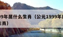 1999年属什么生肖（公元1999年属什么生肖）