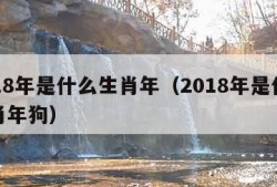 2018年是什么生肖年（2018年是什么生肖年狗）