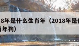 2018年是什么生肖年（2018年是什么生肖年狗）