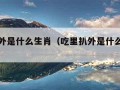 吃里扒外是什么生肖（吃里扒外是什么生肖羊）