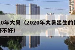 2020年大暑（2020年大暑出生的鼠宝宝好不好）