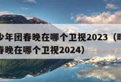 时代少年团春晚在哪个卫视2023（时代少年团春晚在哪个卫视2024）