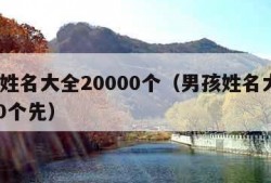 男孩姓名大全20000个（男孩姓名大全20000个先）