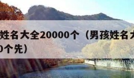 男孩姓名大全20000个（男孩姓名大全20000个先）