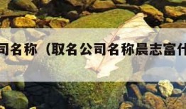 取名公司名称（取名公司名称晨志富什么意思）