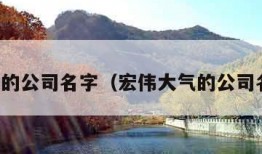 大气的公司名字（宏伟大气的公司名字）