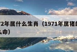 1972年属什么生肖（1971年属猪的是什么命）