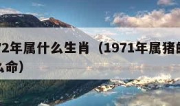 1972年属什么生肖（1971年属猪的是什么命）