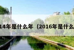 2014年是什么年（2016年是什么年）