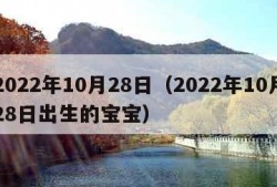 2022年10月28日（2022年10月28日出生的宝宝）