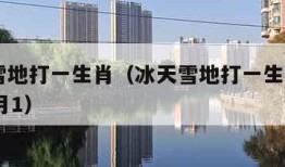 冰天雪地打一生肖（冰天雪地打一生肖2022年9月1）