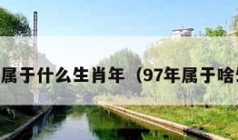 97年属于什么生肖年（97年属于啥生肖）