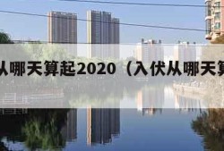 入伏从哪天算起2020（入伏从哪天算起庚日）