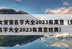 兔年女宝宝名字大全2023有寓意（兔年女宝宝名字大全2023有寓意姓黄）